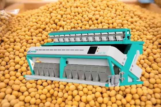 High Yield Soybean Sorting Machine 11T/H-19T/H Grain Colour Sorter Machine