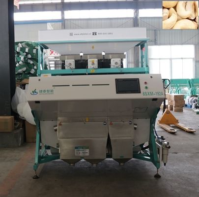 2.2kwh Food Grain Walnut Sorting Machine For Hazel Chestnut Sorting